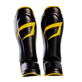 CANELEIRA IMPACT PRETORIAN