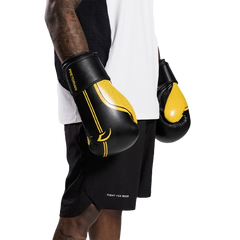 KIT LUVA DE BOXE E MUAY THAI FIRST FX1