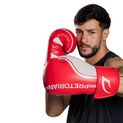 LUVA DE BOXE E MUAY THAI FIRST FX1