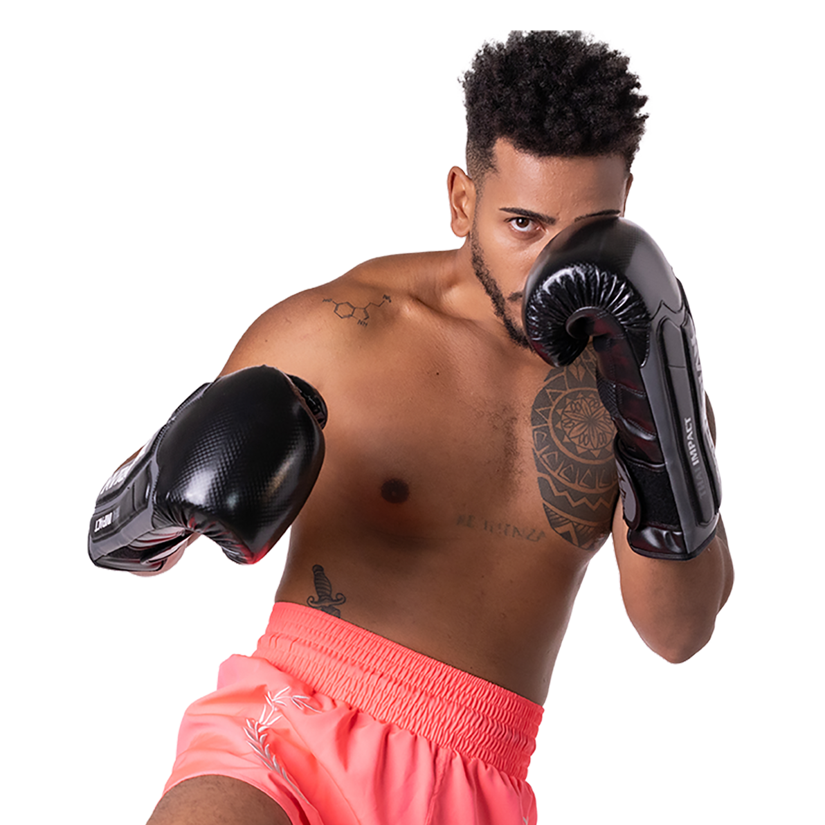 LUVA MUAY THAI IMPACT PRETORIAN LEGENDS