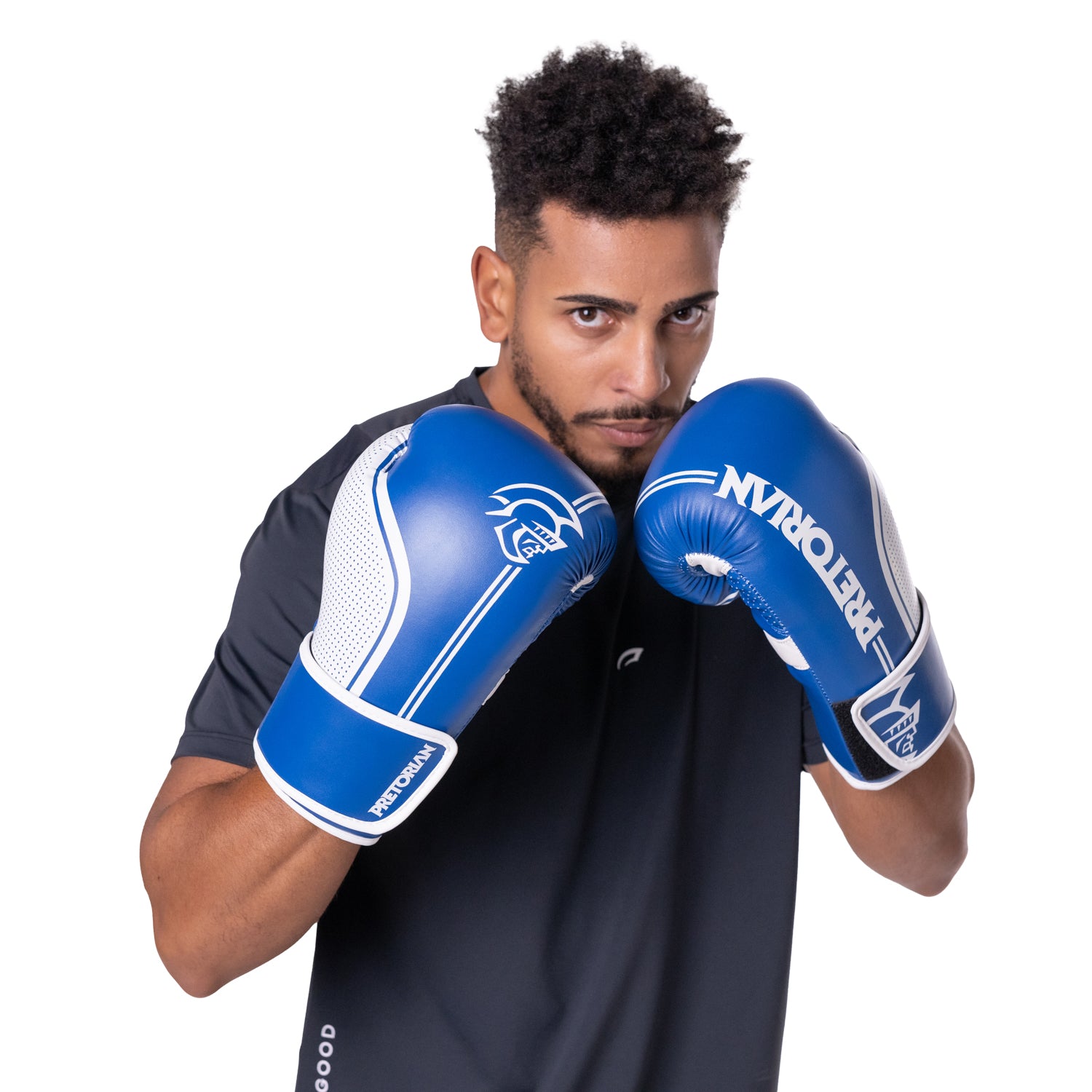 Luva de Boxe e Muay Thai Pretorian First FX1