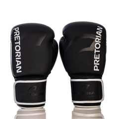 LUVA DE BOXE E MUAY THAI FX2