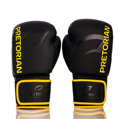 Luva de Boxe e Muay Thai First FX2 Pretorian
