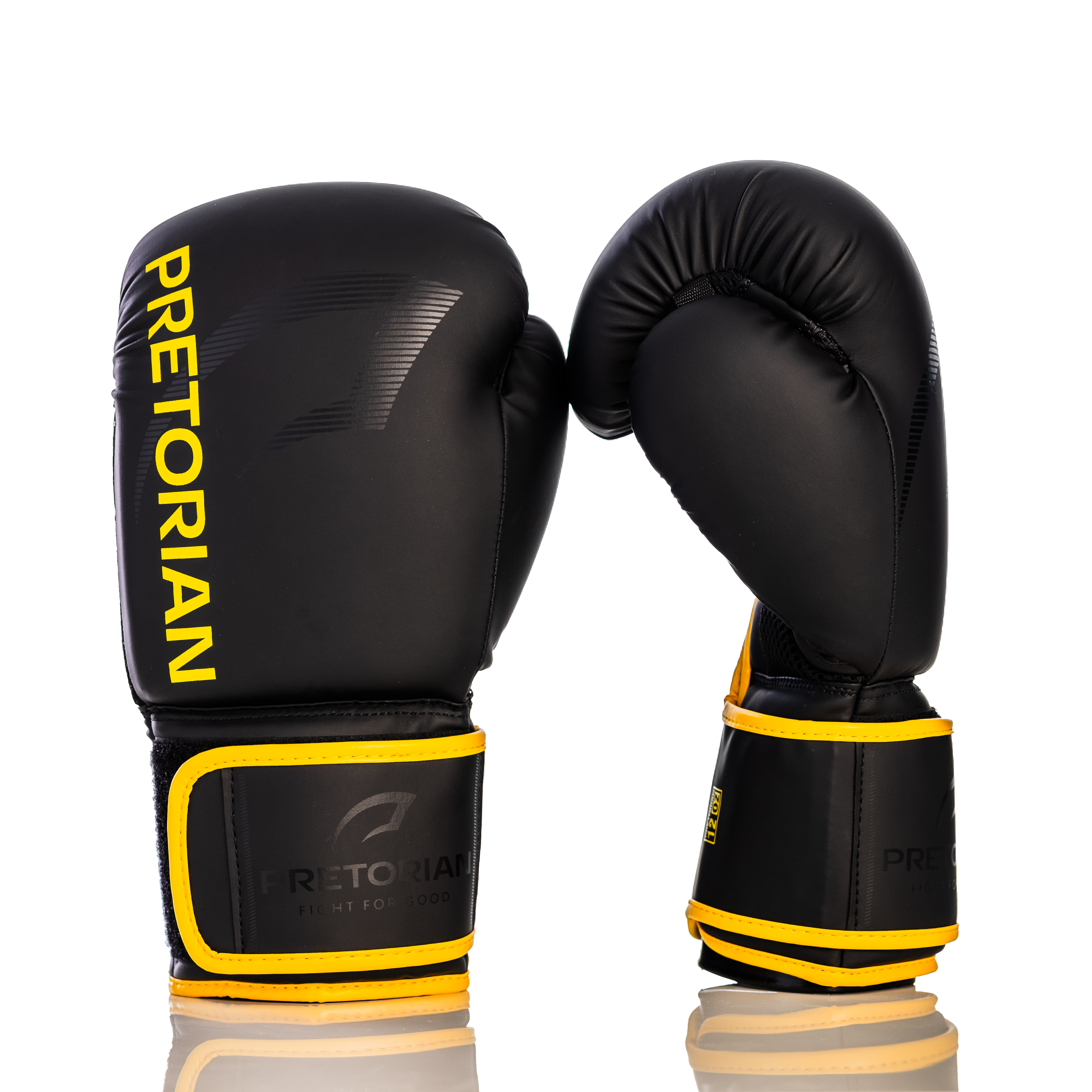 Luva de Boxe e Muay Thai First FX2 Pretorian