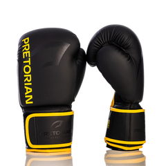 Luva de Boxe e Muay Thai First FX2 Pretorian