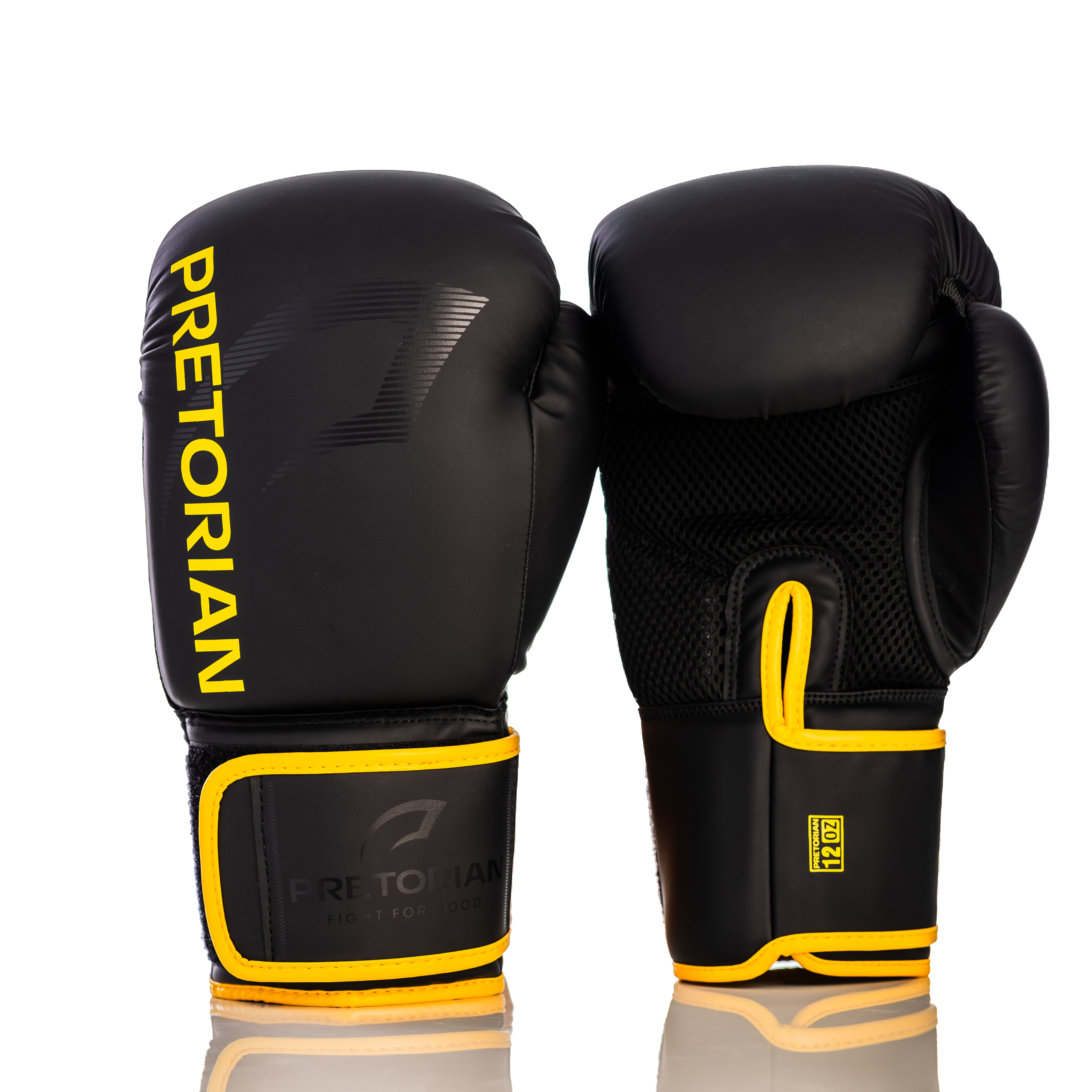 Luva de Boxe e Muay Thai First FX2 Pretorian