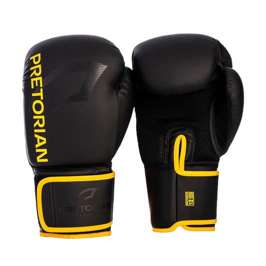 LUVA DE BOXE E MUAY THAI FIRST FX2 - PRETORIAN 4000