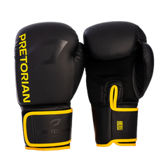 LUVA DE BOXE E MUAY THAI FX2