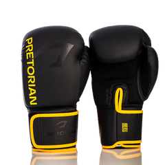Luva de Boxe e Muay Thai First FX2 Pretorian