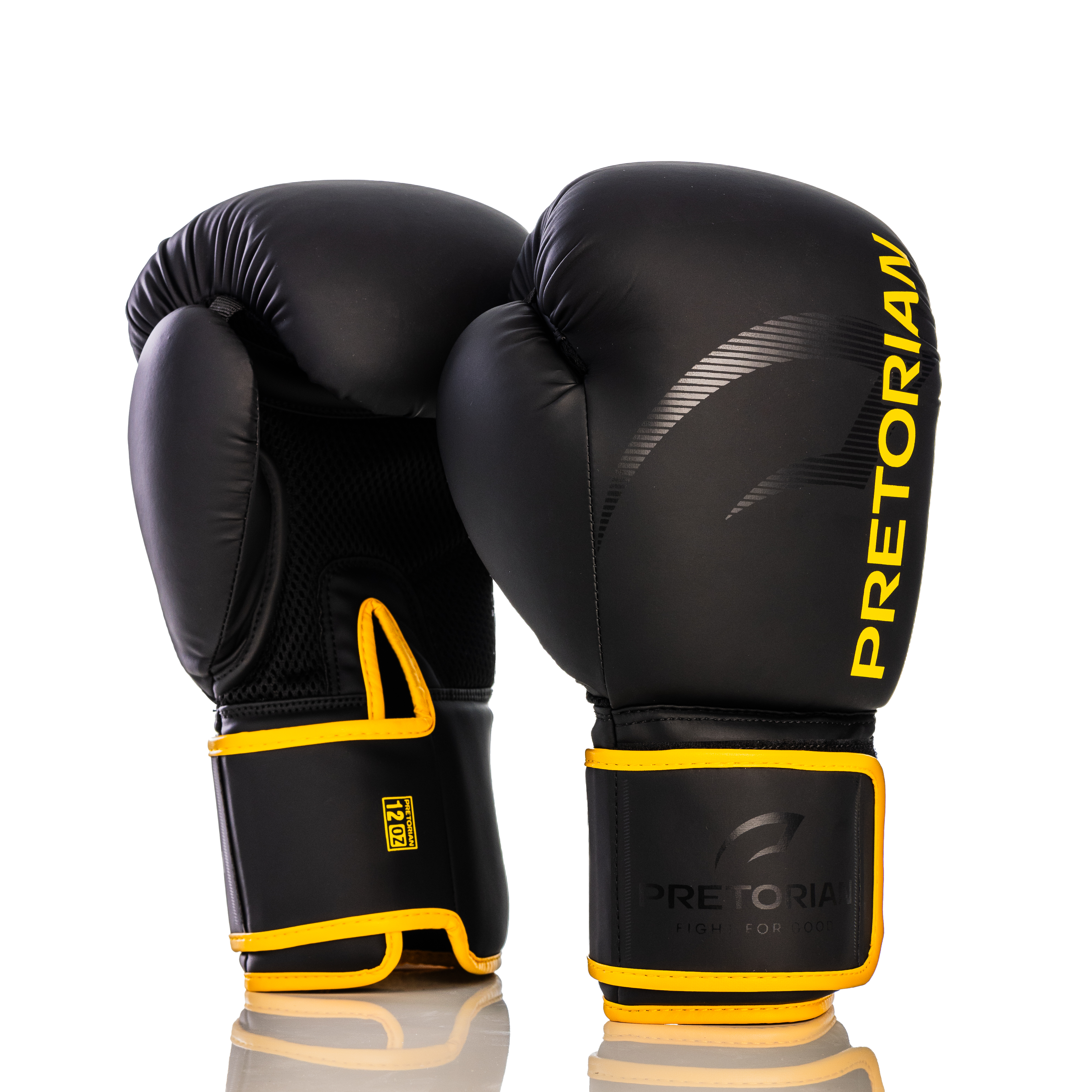 Luva de Boxe e Muay Thai First FX2 Pretorian
