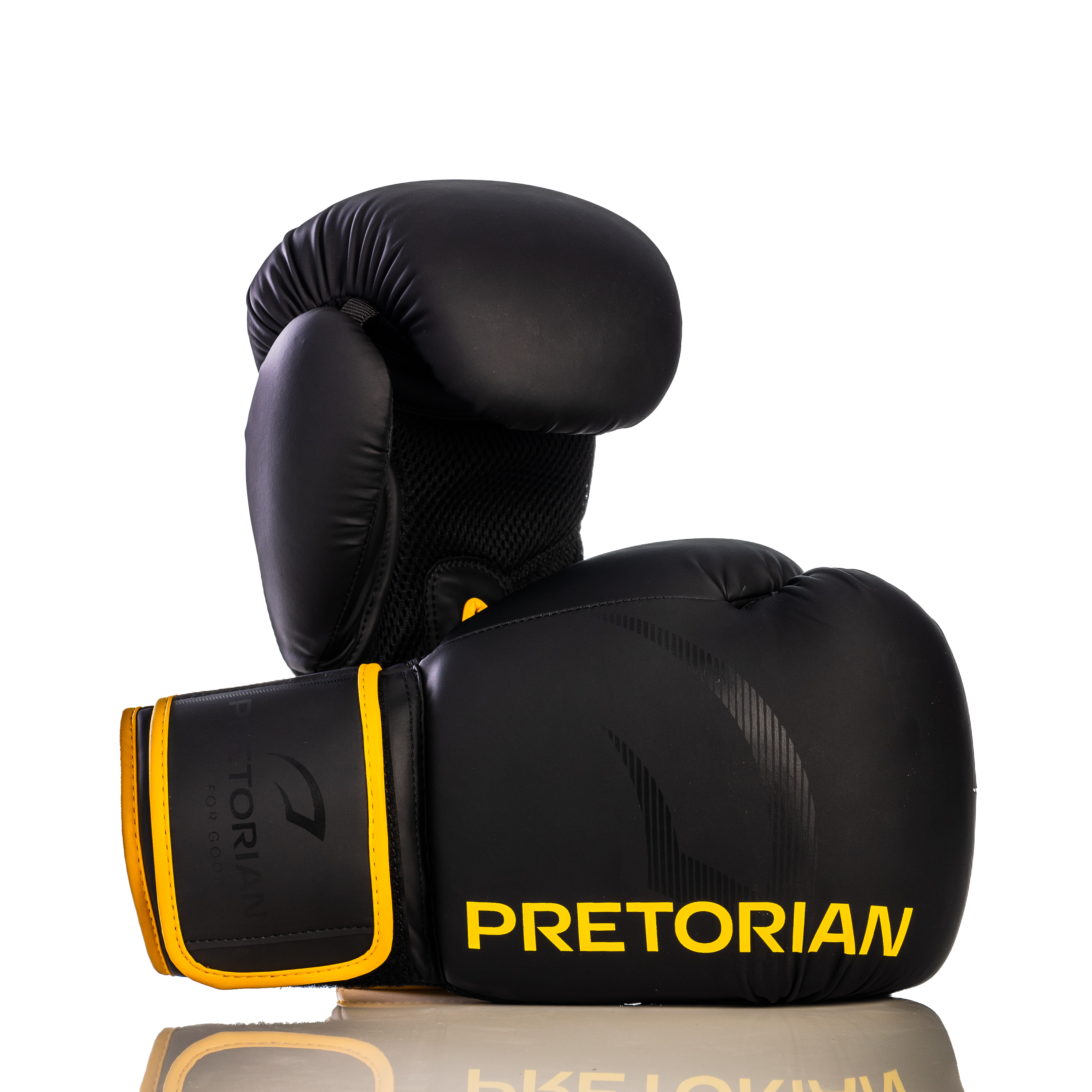 Luva de Boxe e Muay Thai First FX2 Pretorian
