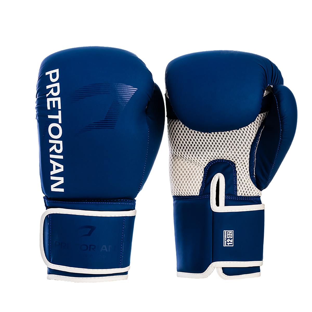 LUVA DE BOXE E MUAY THAI FIRST FX2 PRETORIAN