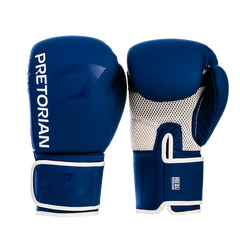 LUVA DE BOXE E MUAY THAI FIRST FX2 PRETORIAN