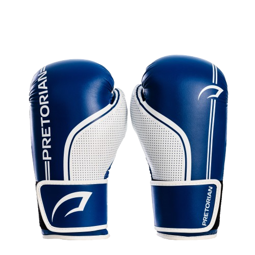 LUVA DE BOXE E MUAY THAI FIRST FX1