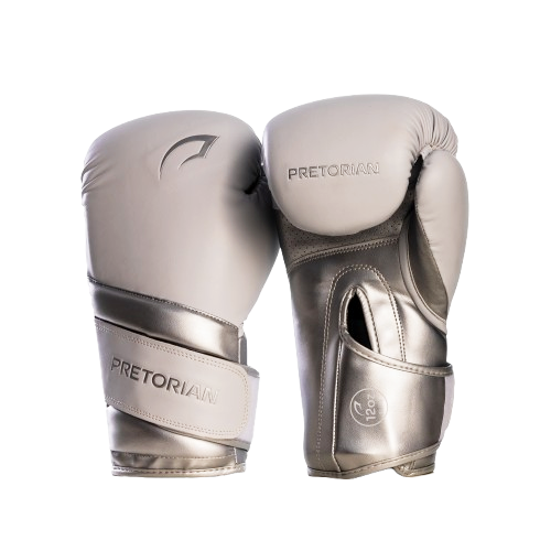 LUVA DE BOXE E MUAY THAI ELITE - PRETORIAN 500