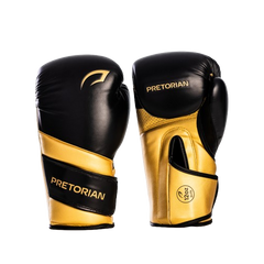 KIT LUVA DE BOXE E MUAY THAI ELITE
