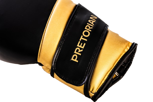 KIT LUVA DE BOXE E MUAY THAI ELITE