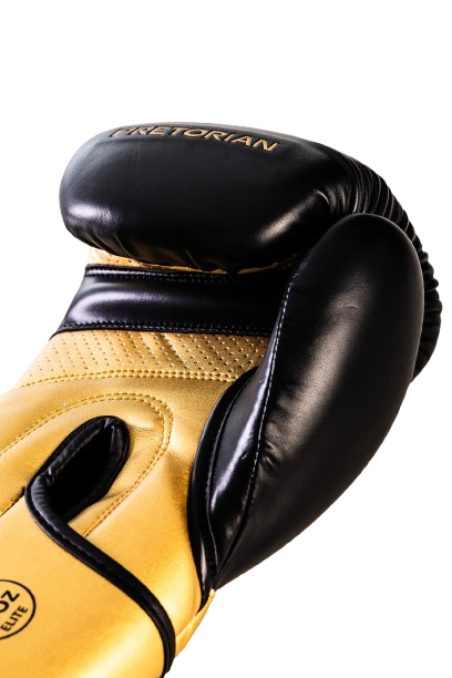 KIT LUVA DE BOXE E MUAY THAI ELITE