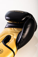 KIT LUVA DE BOXE E MUAY THAI ELITE