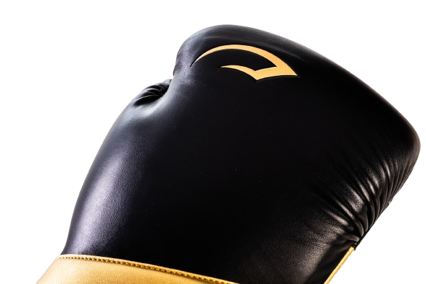 KIT LUVA DE BOXE E MUAY THAI ELITE
