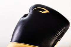 KIT LUVA DE BOXE E MUAY THAI ELITE