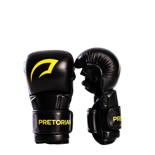 LUVA BATE SACO SPARRING MMA PRETORIAN