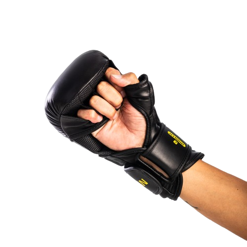 LUVA BATE SACO SPARRING MMA PRETORIAN