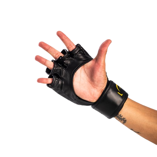 LUVA BATE SACO SPARRING MMA PRETORIAN