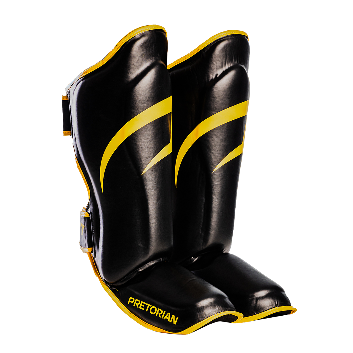 CANELEIRA IMPACT PRETORIAN