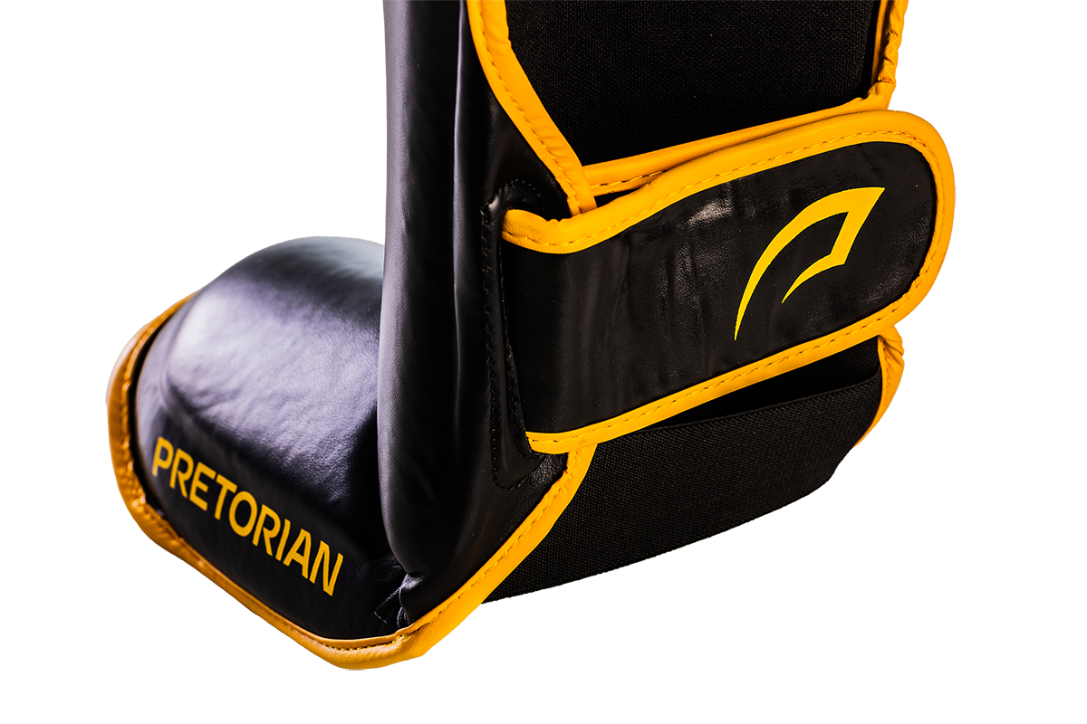 CANELEIRA IMPACT PRETORIAN