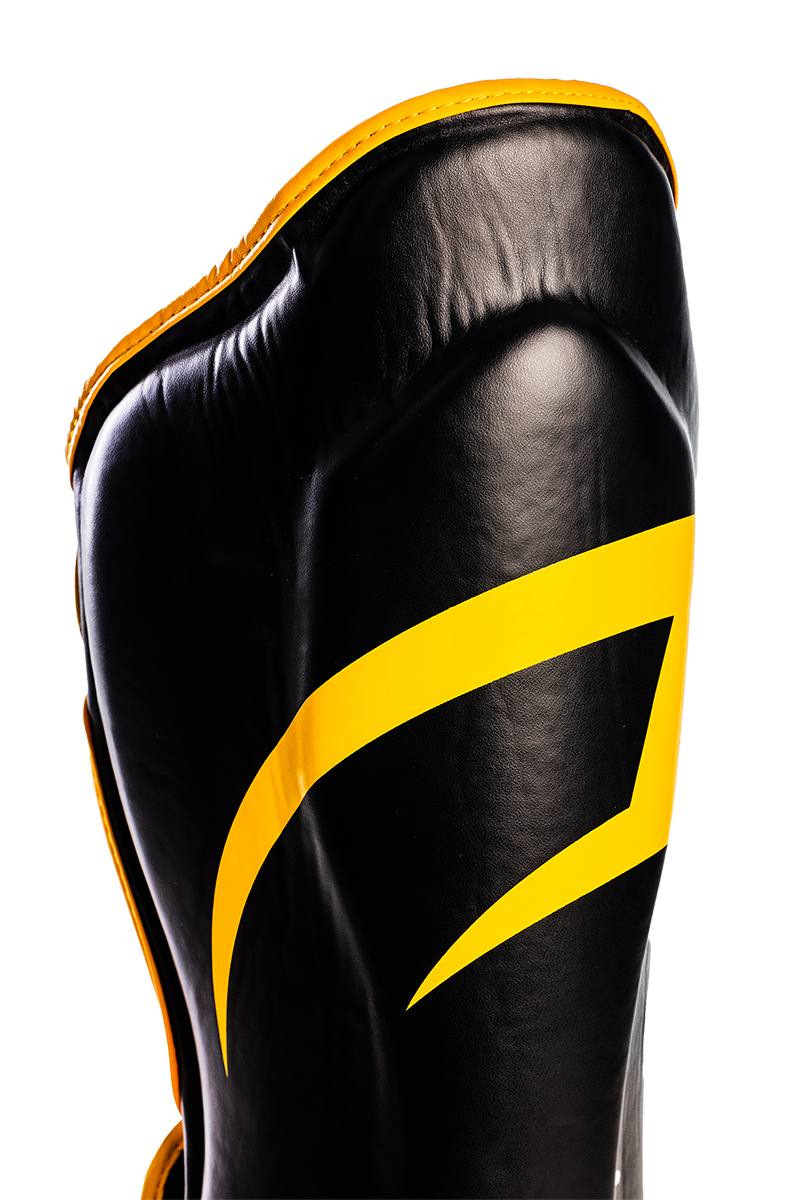 CANELEIRA IMPACT PRETORIAN