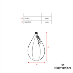 SPEED BALL GYM PRETORIAN