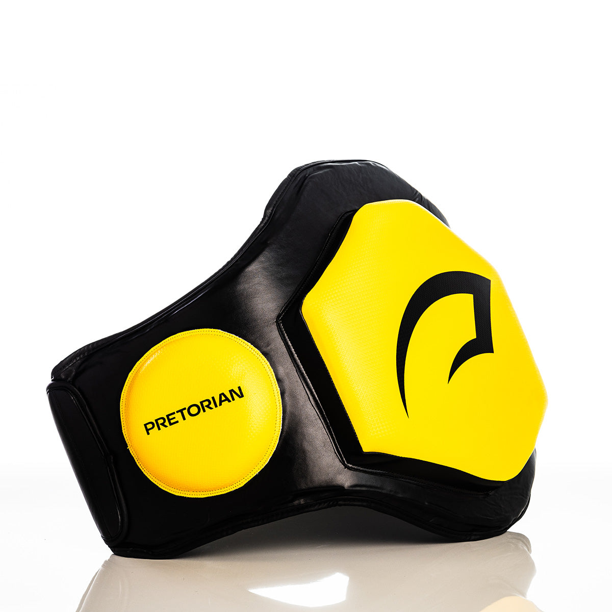 Cinto Lombar Gym Pretorian