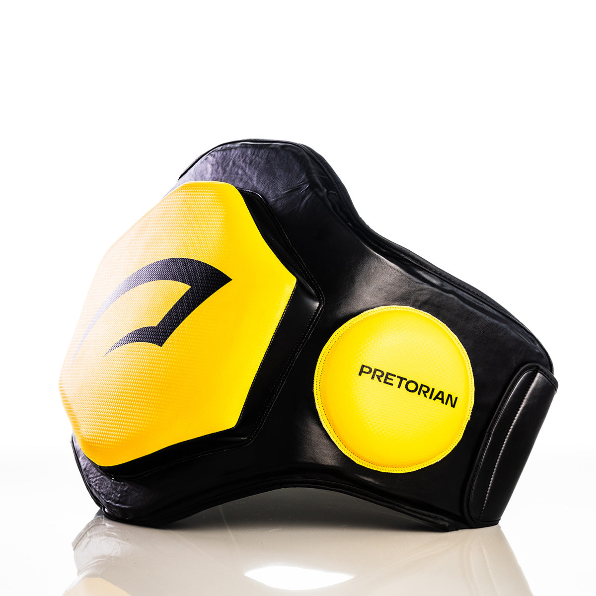 Cinto Lombar Gym Pretorian