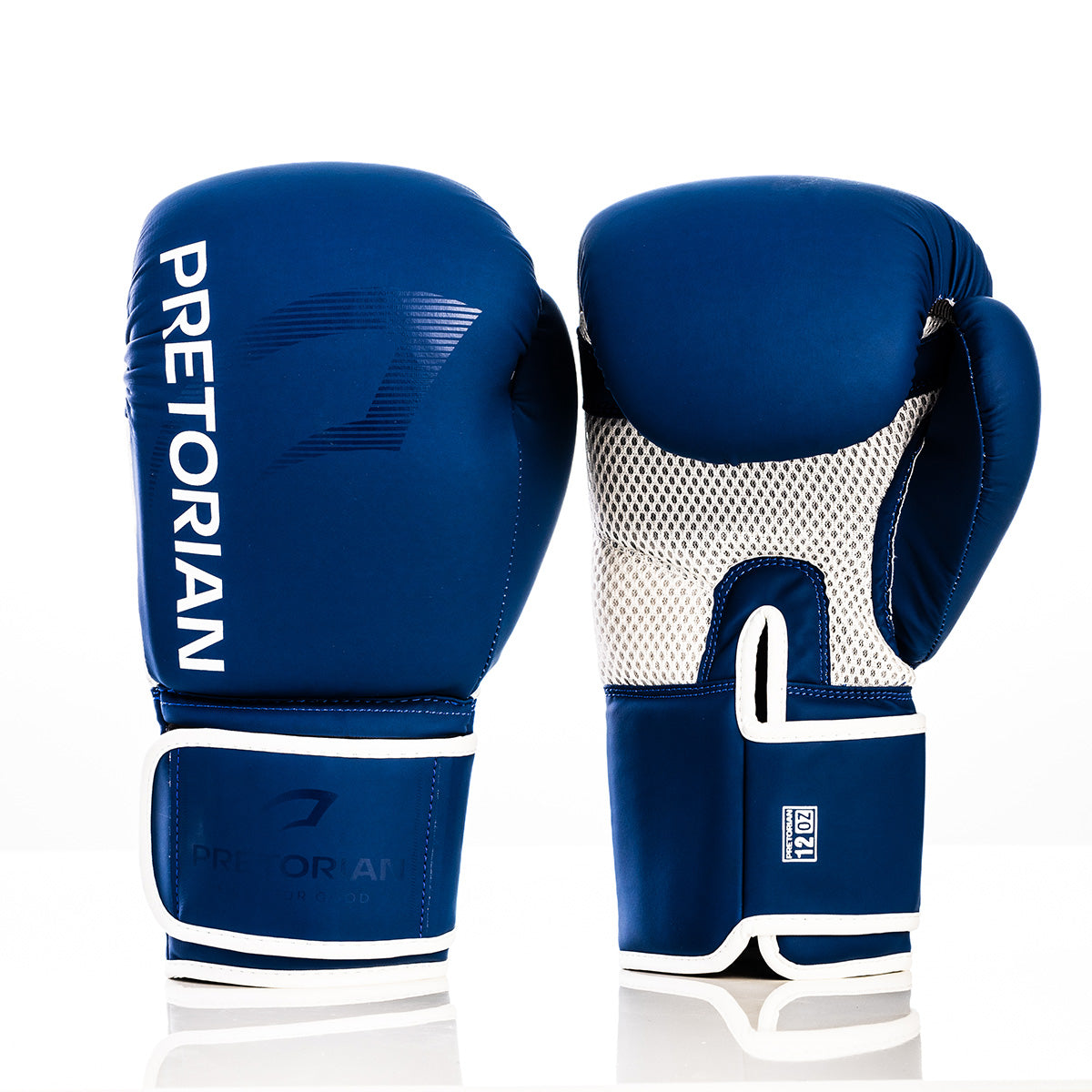 LUVA DE BOXE E MUAY THAI FIRST FX2 - PRETORIAN