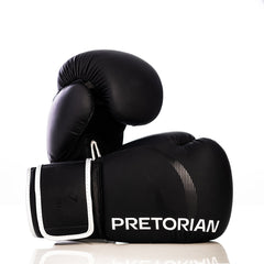 KIT BOXE E MUAY THAI FIRST FX2 - PRETORIAN