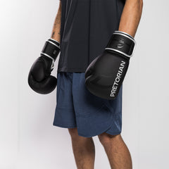KIT BOXE E MUAY THAI FIRST FX2 - PRETORIAN