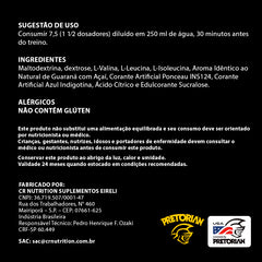 BCAA Power 15:1:1 300GR Pretorian